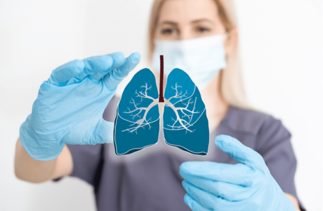 the doctor holds the lungs organ symbol.